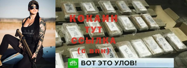 mdpv Богданович