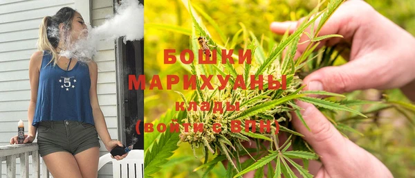 молекула духа Александровское