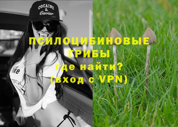ALPHA PVP Богородск